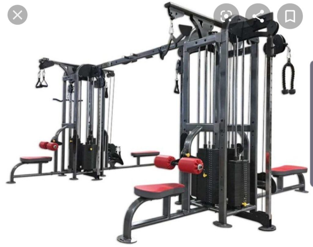F1 Gym Equipment Penang FoliageField