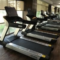 FoliageField Treadmill
